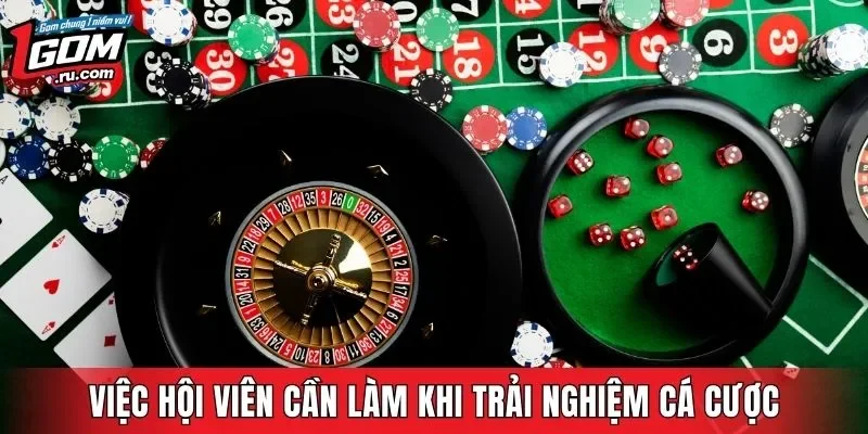 Việc hội viên cần làm khi trải nghiệm cá cược trực tuyến