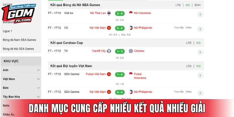 Danh mục cung cấp kết quả của nhiều giải 