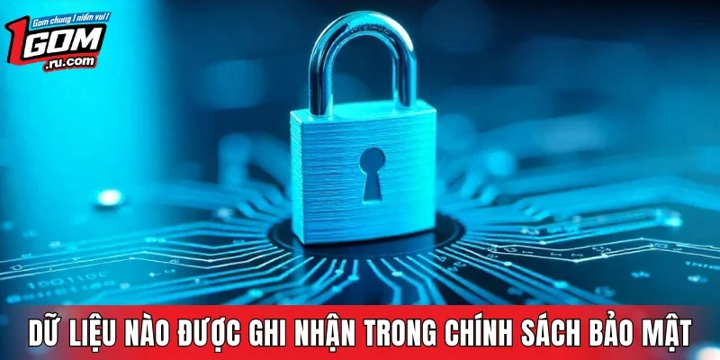 Các dữ liệu nào được ghi nhận trong chính sách bảo mật