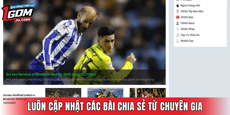 Luôn cập nhật các bài chia sẻ từ chuyên gia