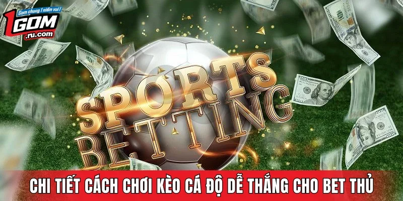Chi tiết cách chơi kèo cá độ dễ thắng cho bet thủ