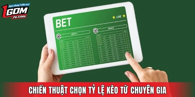 Chiến thuật chọn tỷ lệ kèo từ chuyên gia