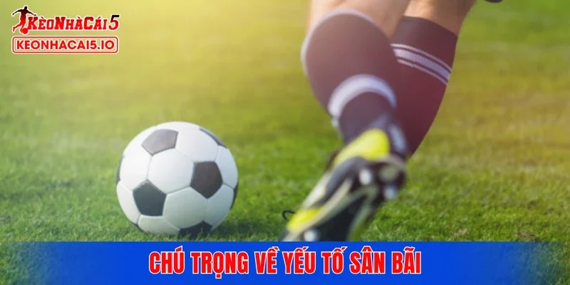 Chú trọng về yếu tố sân bãi