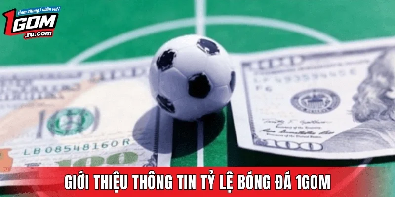 Giới thiệu thông tin tỷ lệ bóng đá 1GOM