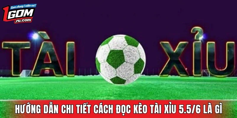 Hướng dẫn chi tiết cách đọc kèo Tài Xỉu 5.5/6 là gì