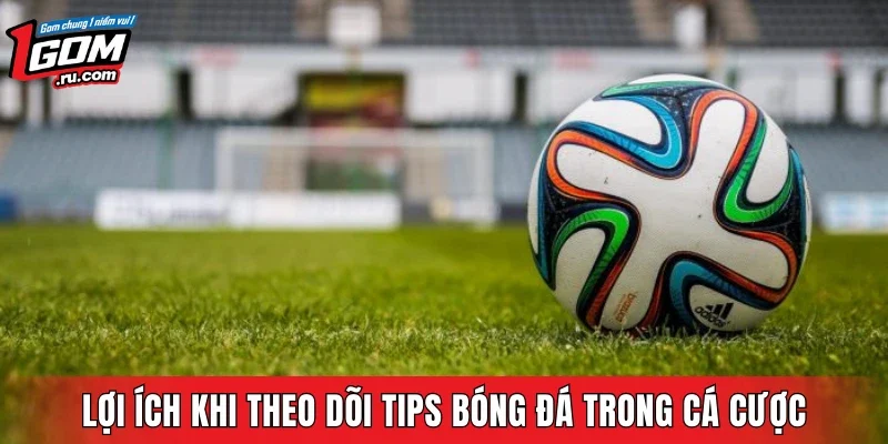 Lợi ích khi theo dõi tips bóng đá trong cá cược